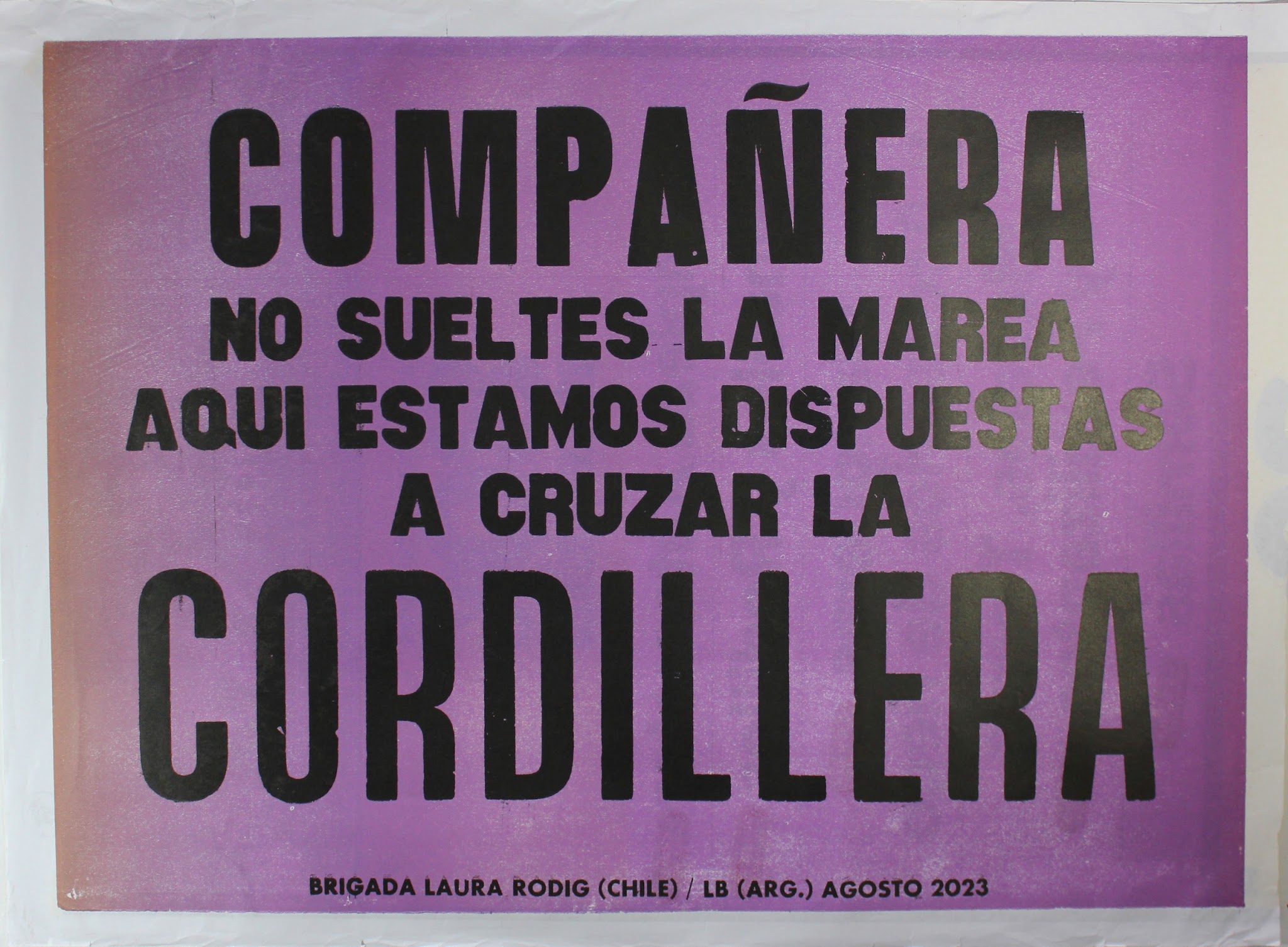 Portada de Compañera no sueltes la marea aqui estamos dispuestas a cruzar la cordillera