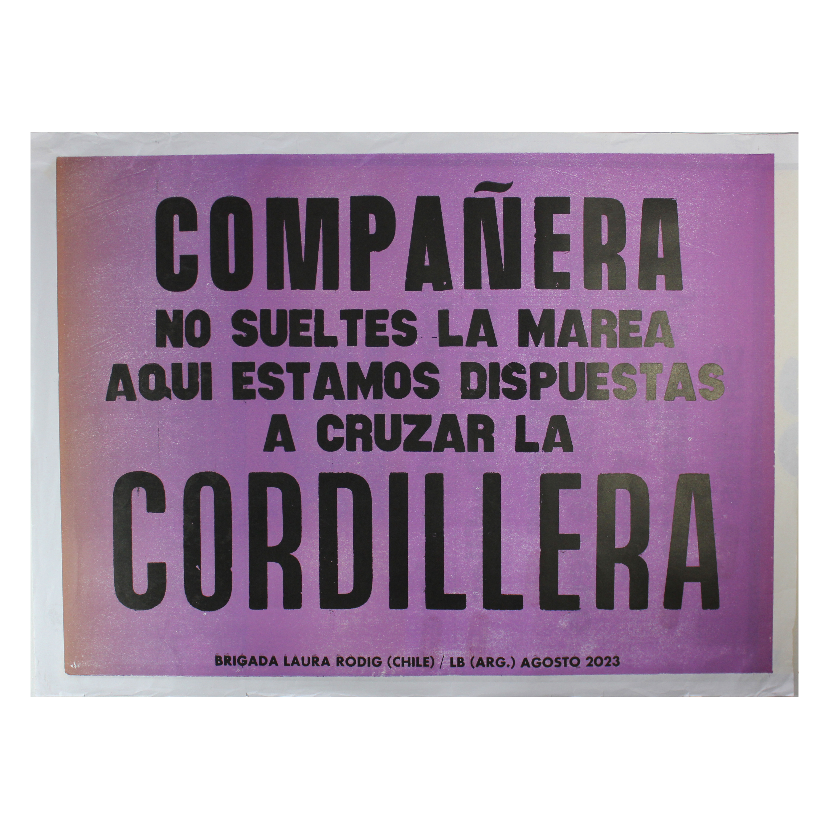Portada de Compañera no sueltes la marea aqui estamos dispuestas a cruzar la cordillera