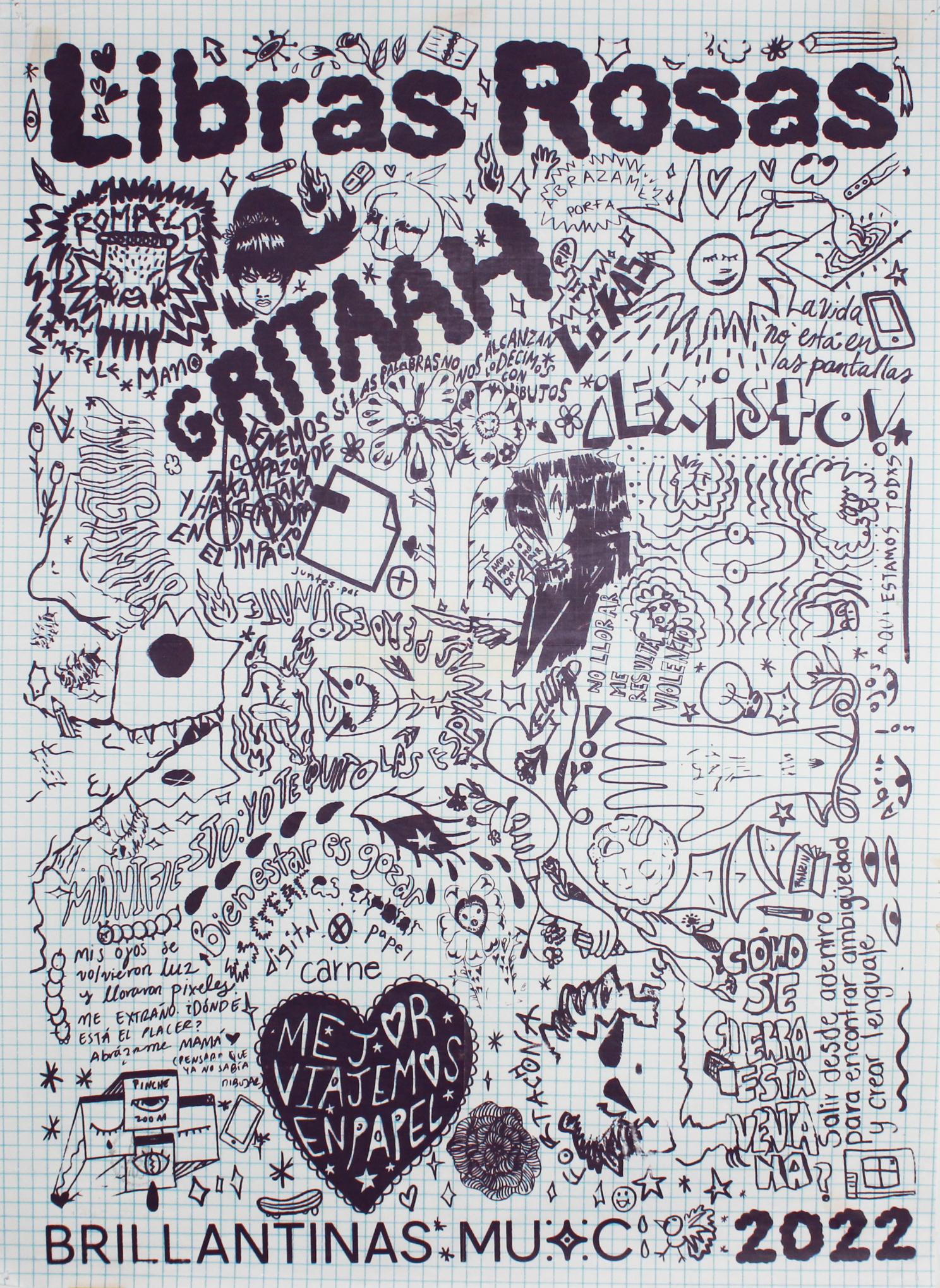 Portada de Libras Rosas