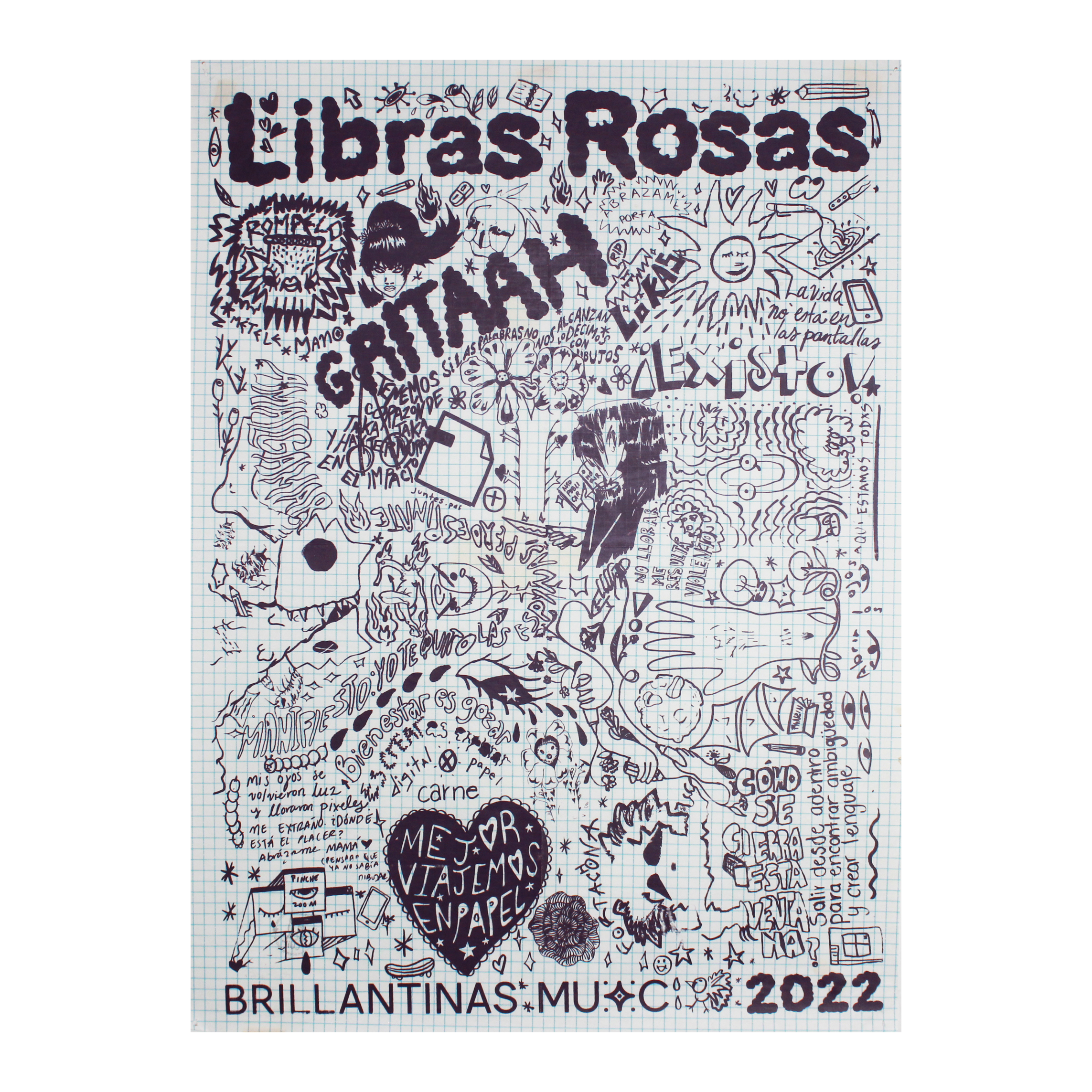 Portada de Libras Rosas