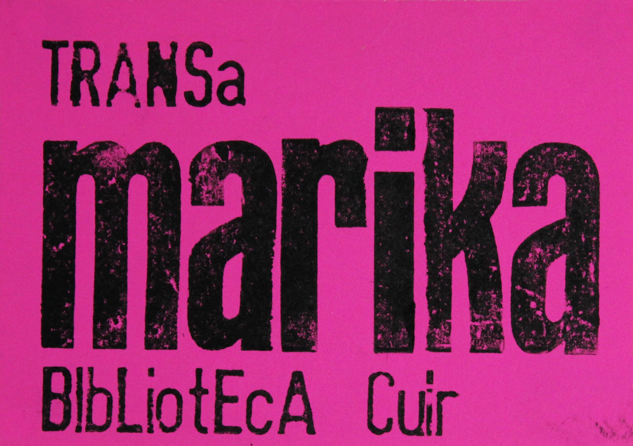 Portada de Transa marika Biblioteca Cuir