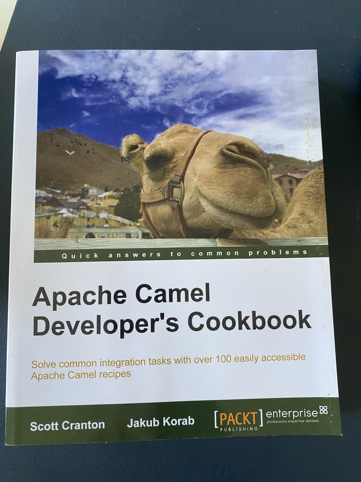 Apache Camel Developer's Cookbook book cover