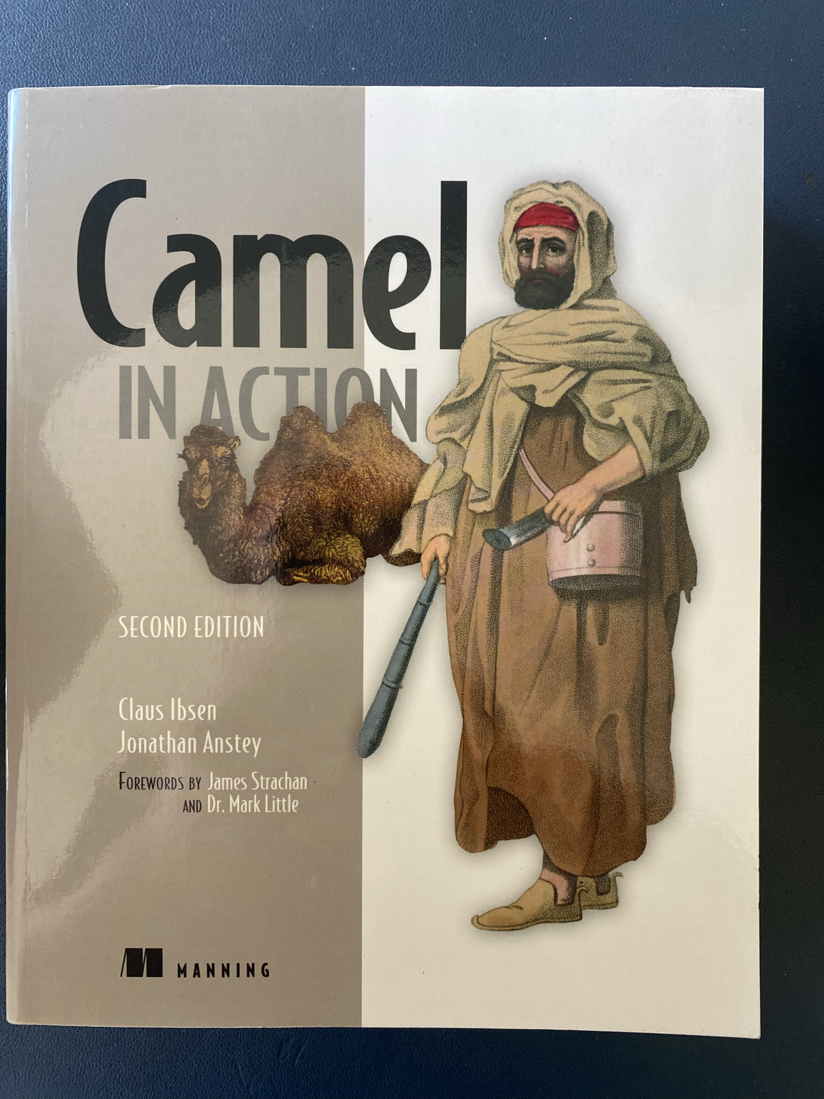 Camel in Action book cover