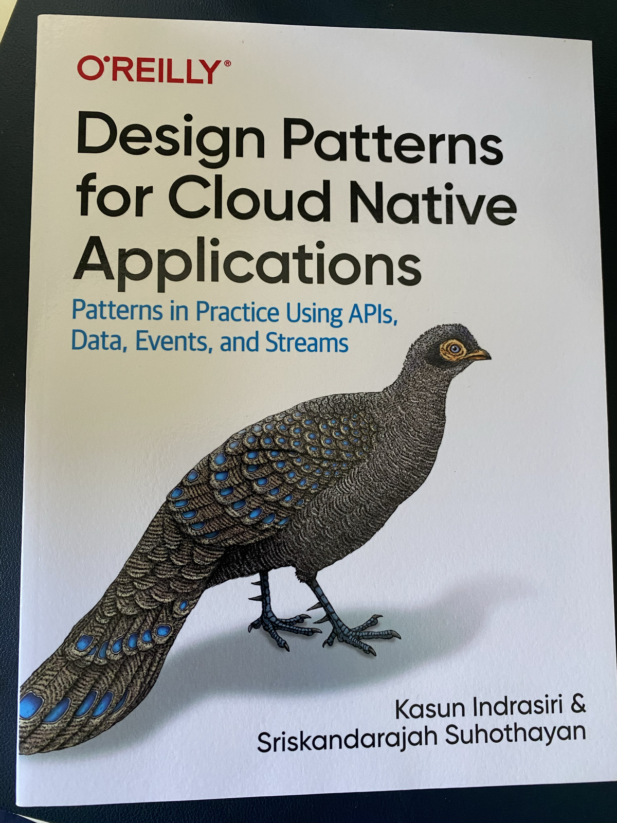 Design Patterns for Cloud Native Applications book cover