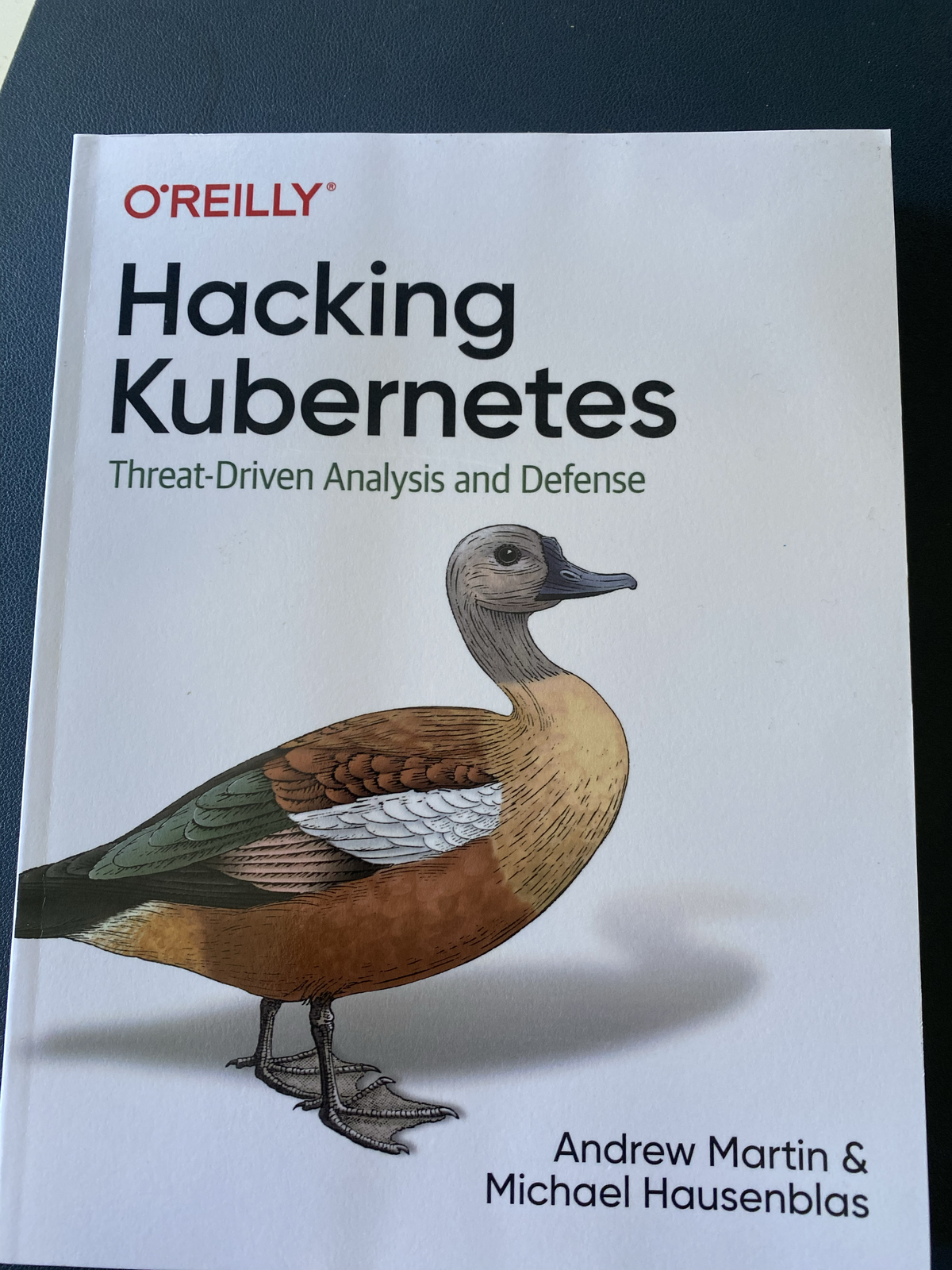 Hacking Kubernetes book cover