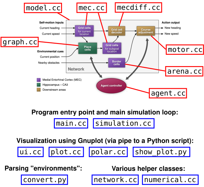 Overview of code files, based on Fig. 1C from Edvardsen et al. (2020), CC BY 4.0