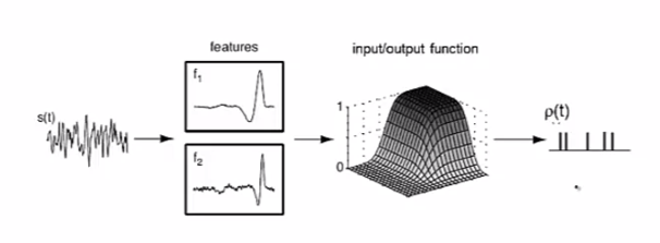 Lecture 2 Neural Code and neural encoding - Computational Neuroscience ...
