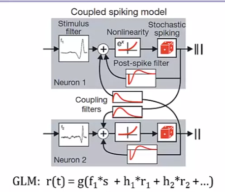 Lecture 2 Neural Code and neural encoding - Computational Neuroscience ...