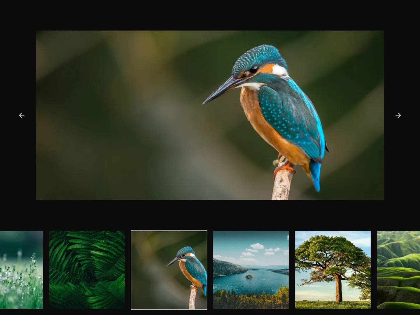 Image Carousel Design