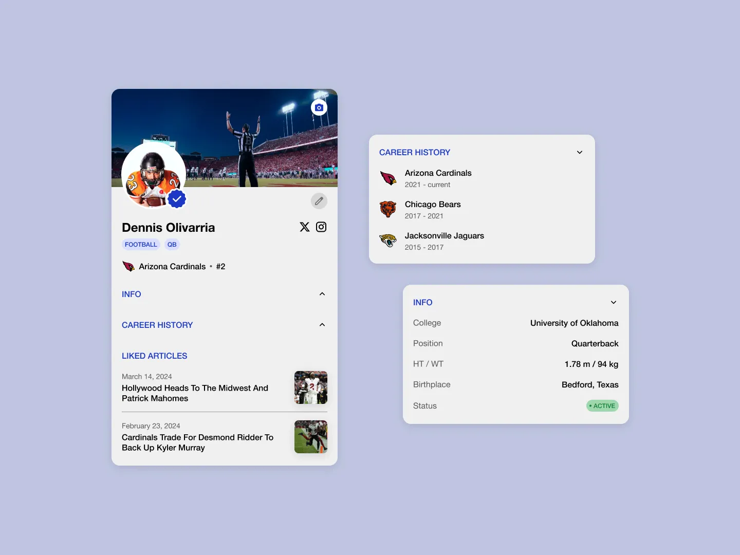 Player Profile Design