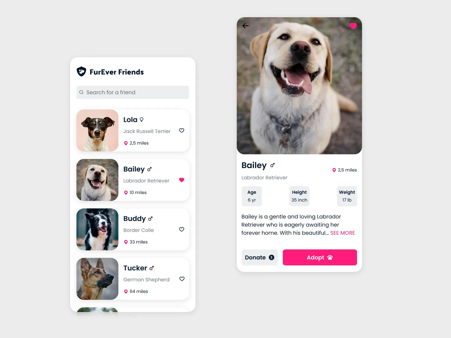 Pet Adoption challenge design