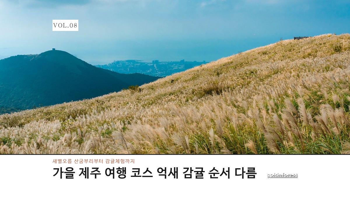 가을 제주 여행 코스, 순서 정하는 방법이 따로 있어요
