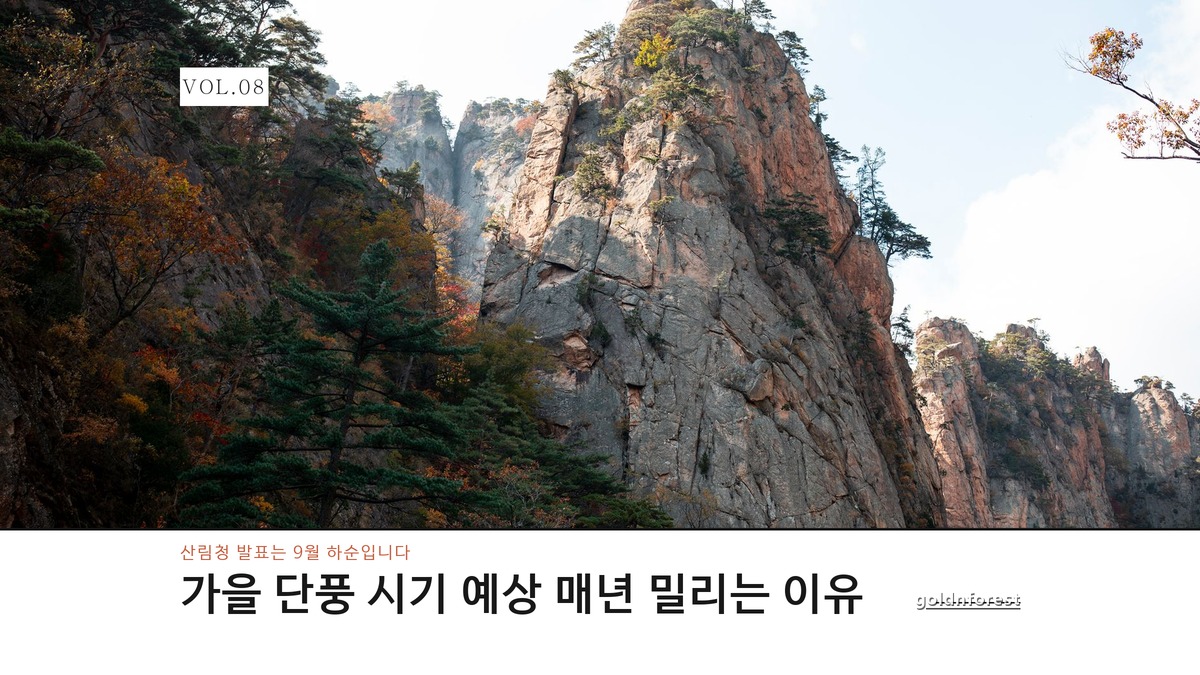 가을 단풍 시기 예상, 매년 며칠씩 밀리는 이유가 있다