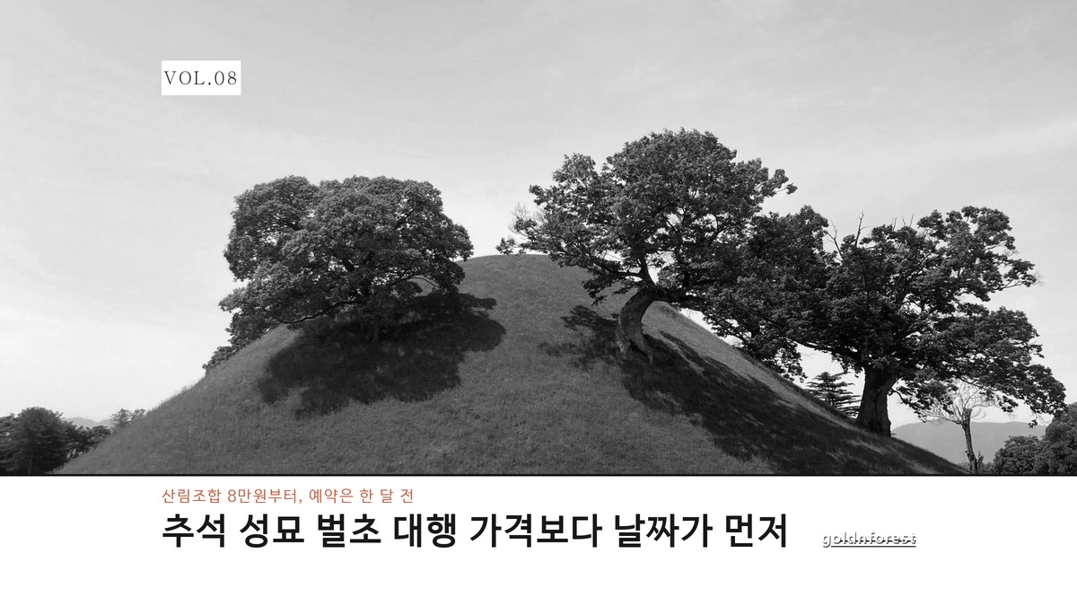 추석 성묘 벌초 대행, 가격보다 날짜부터 갈리는 이유