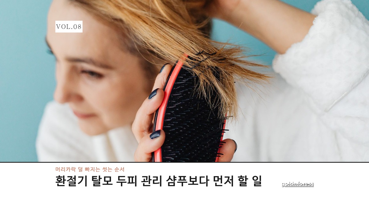 환절기 탈모 두피 관리, 샴푸보다 먼저 챙기는 순서