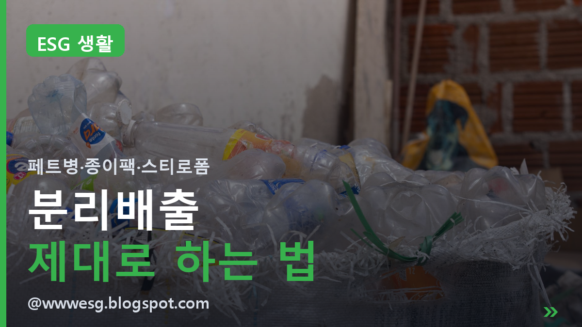 분리배출 제대로 하는 법ㅣ페트병 라벨부터 스티로폼까지, 헷갈리는 것만 모았다