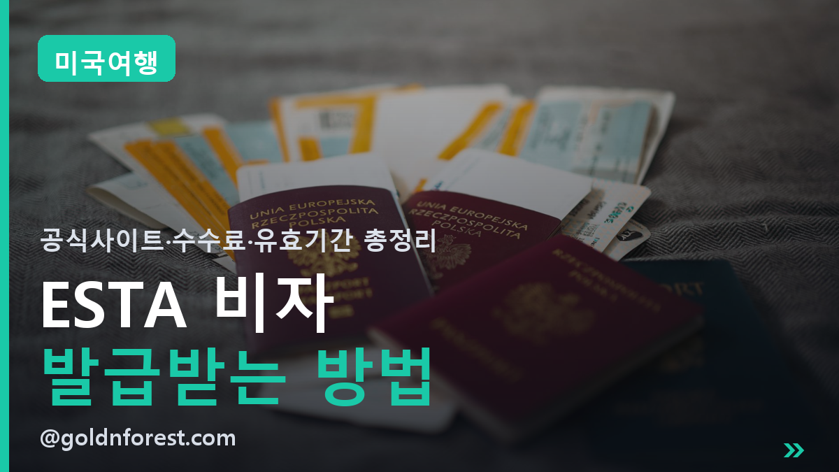 ESTA 비자 발급받는 방법 | 미국여행 전 놓치면 안 되는 신청 순서