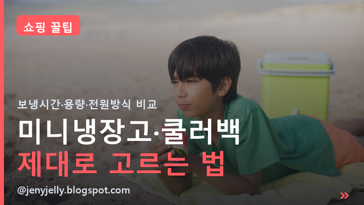 휴대용 미니냉장고·쿨러백 고르는 법 | 여름 나들이 필수템 비교
