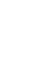 Vireonix Demo