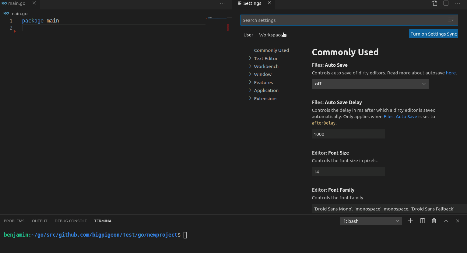 use in vscode