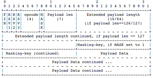 ws-data-frame-format.png