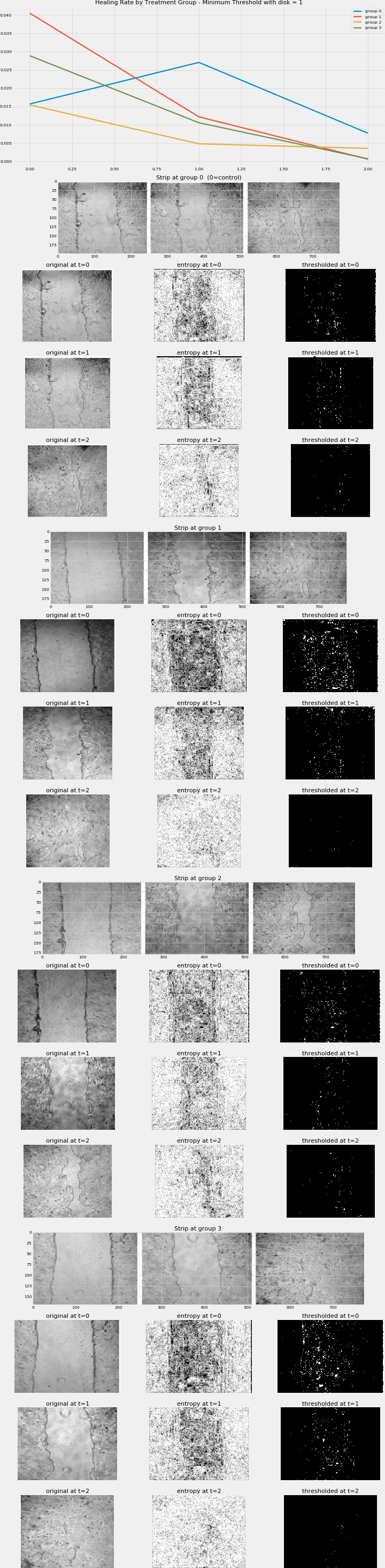 sassy_image_segmentation