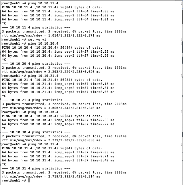 VSI Ping Test