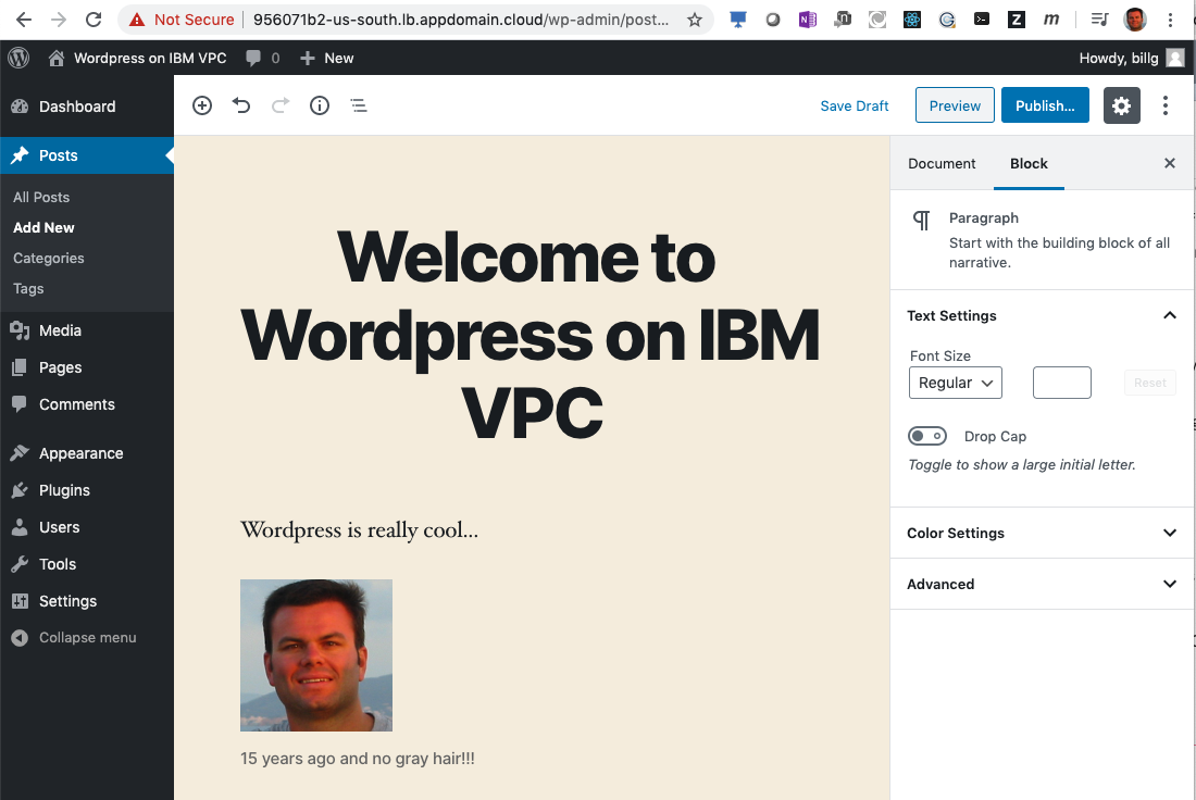 Wordpress Post