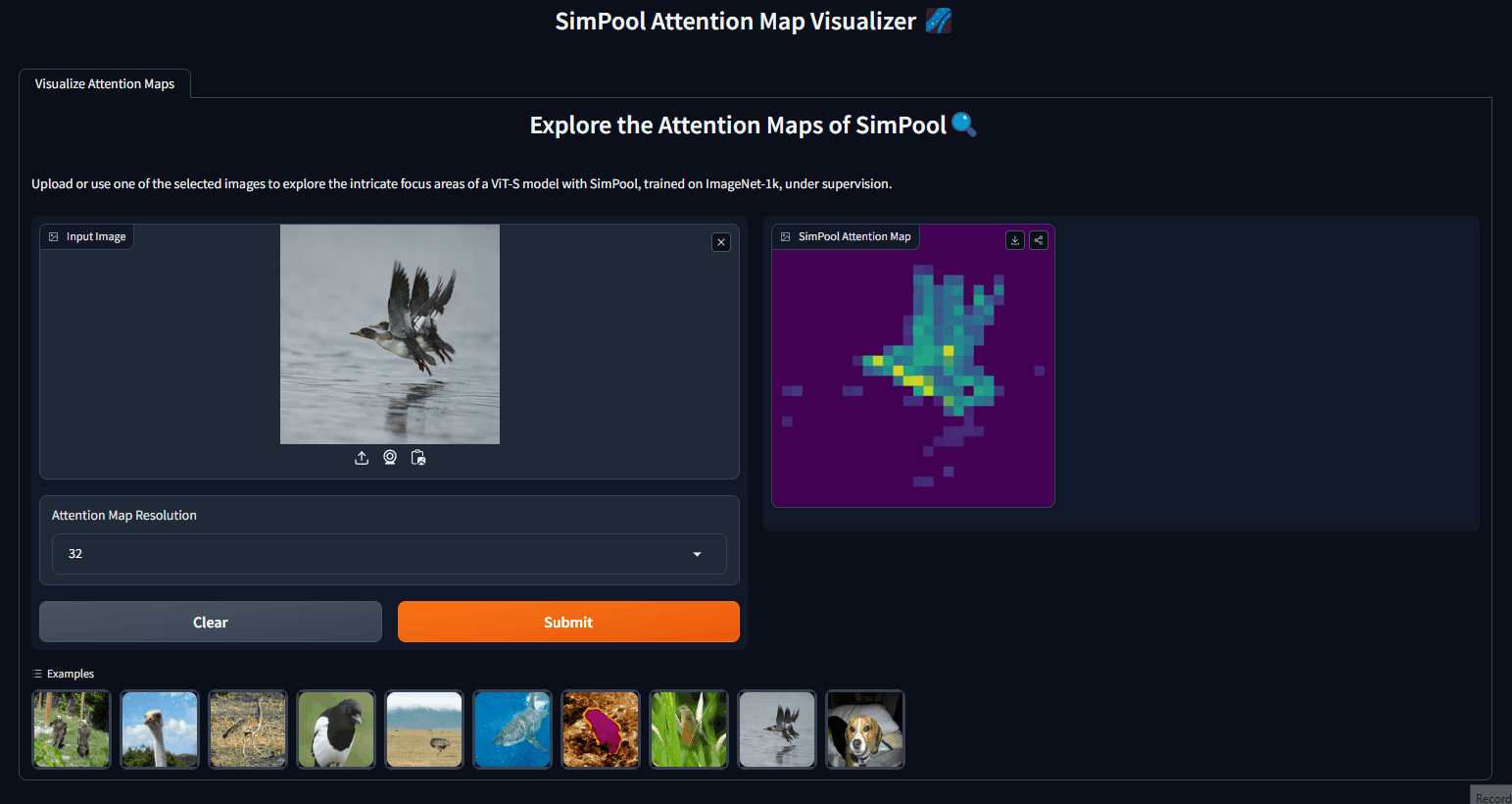 Demo of SimPool Attention Map Visualizer