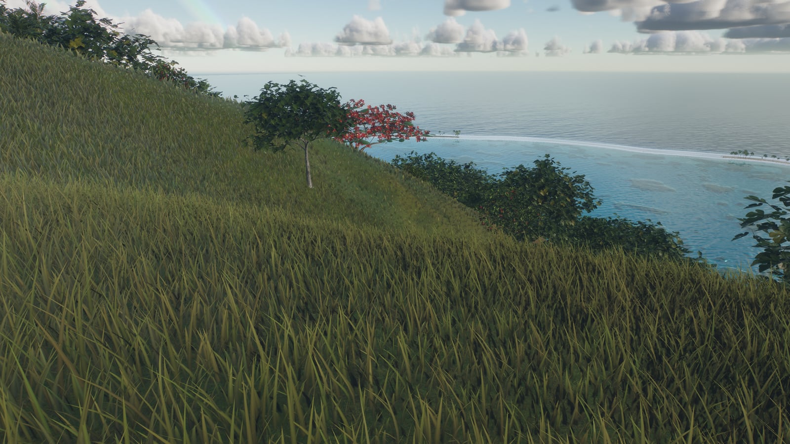 A grassy lookout high on the peak, the lagoon and reef far below