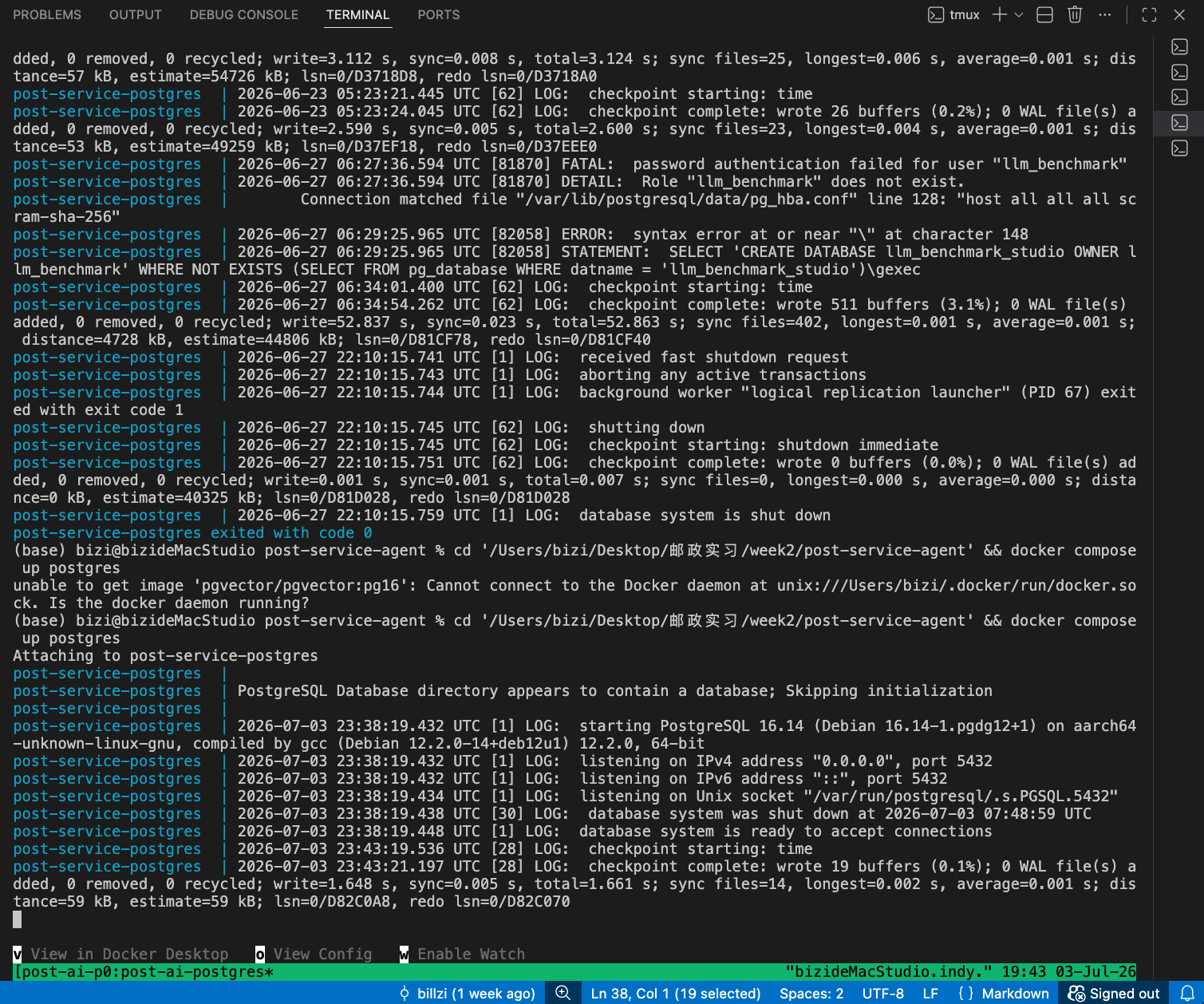 PostgreSQL 与 pgvector 数据层