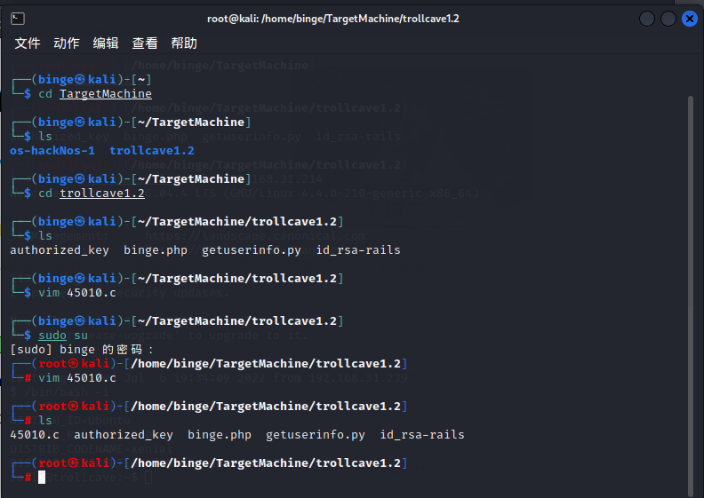 image-20220707231323895