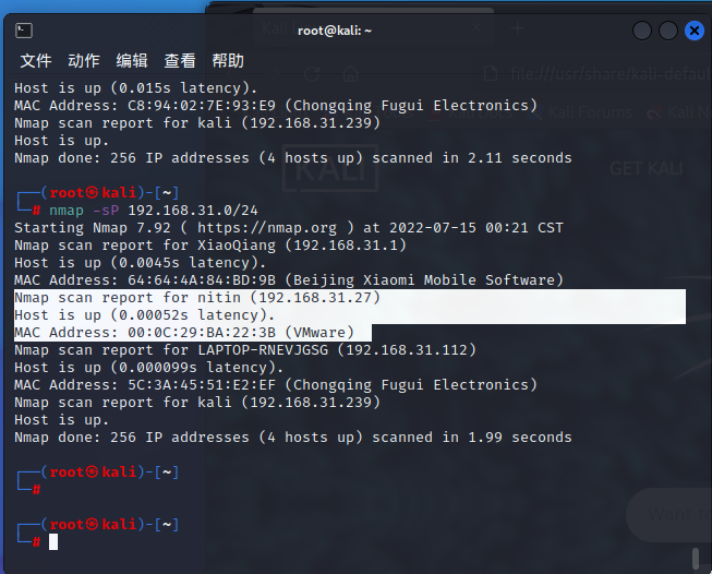 image-20220715003208487