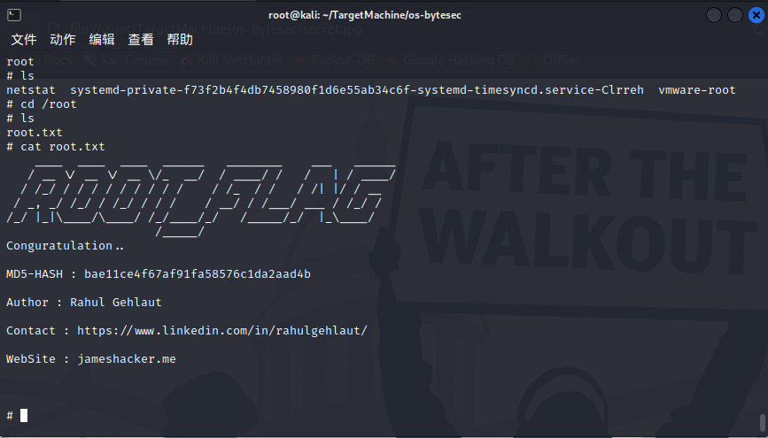 image-20220717020355777