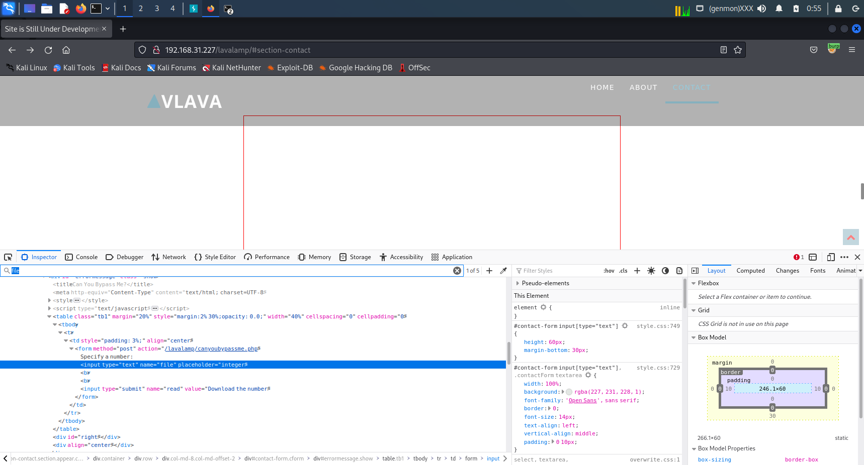 image-20220719005545687