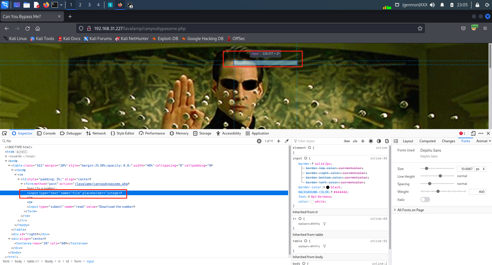 image-20220719230614491