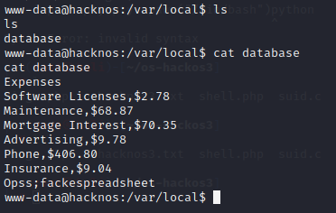 image-20220816003350848