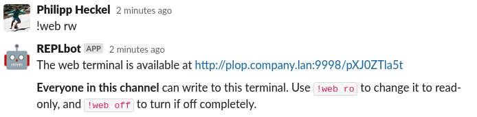 replbot web terminal