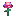 Amethyst Rose