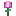 Amethyst Tulip