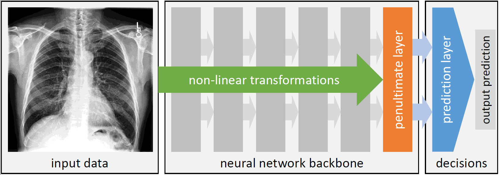 Components of a deep neural networks