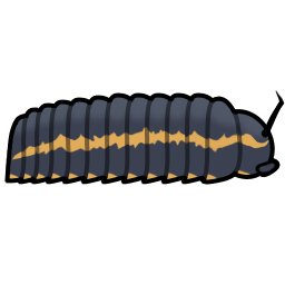 Arthropleura