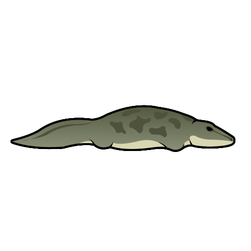 Onchiodon