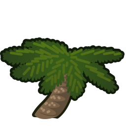 Cycad shrub