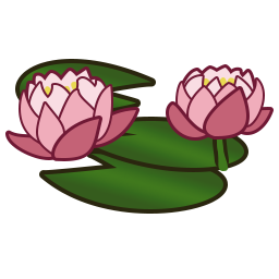 Water lily