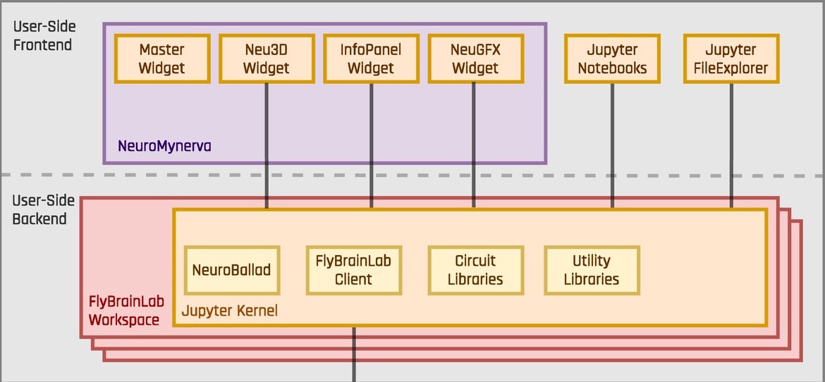 FlyBrainLab Architecture